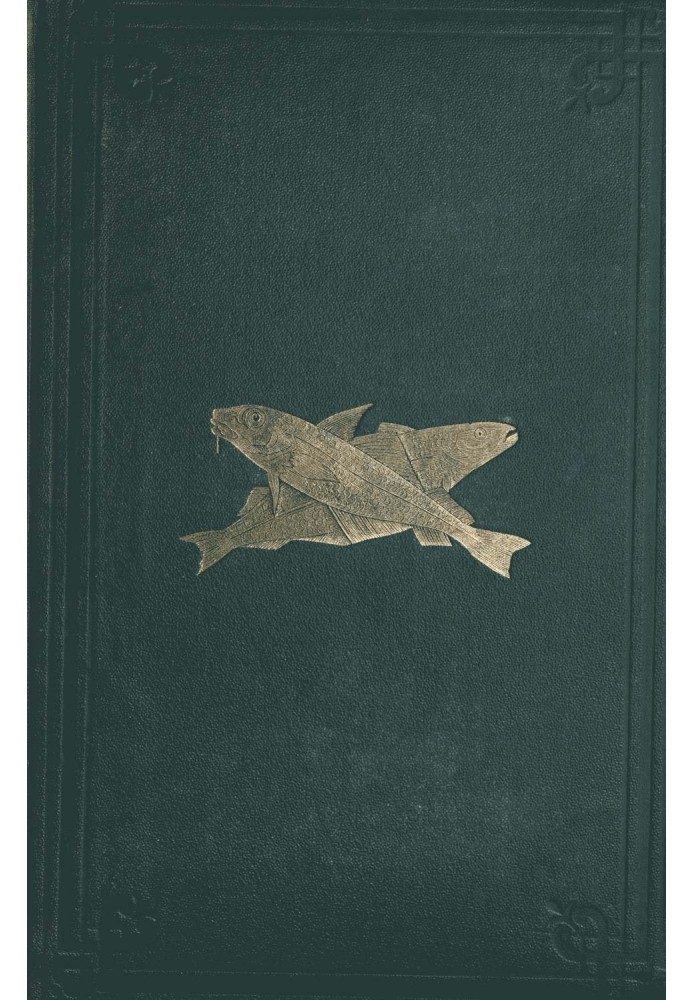 Book Gastizar's Weather Vane