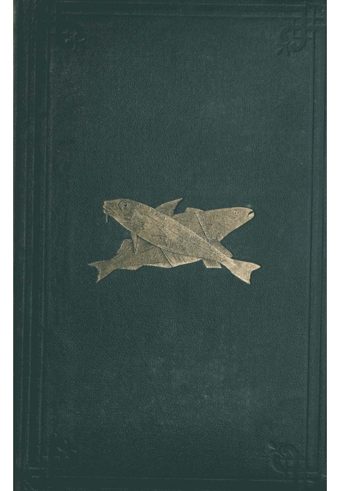 Book Gastizar's Weather Vane
