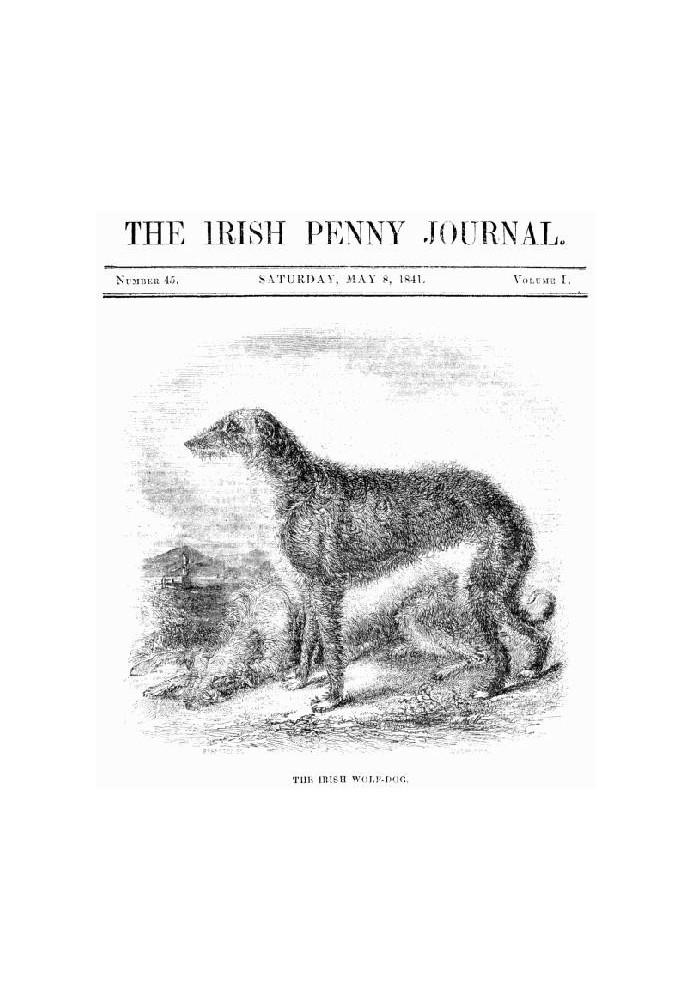 Книга Ирландский пенни-журнал, Том. 1 № 45, 8 мая 1841 г.