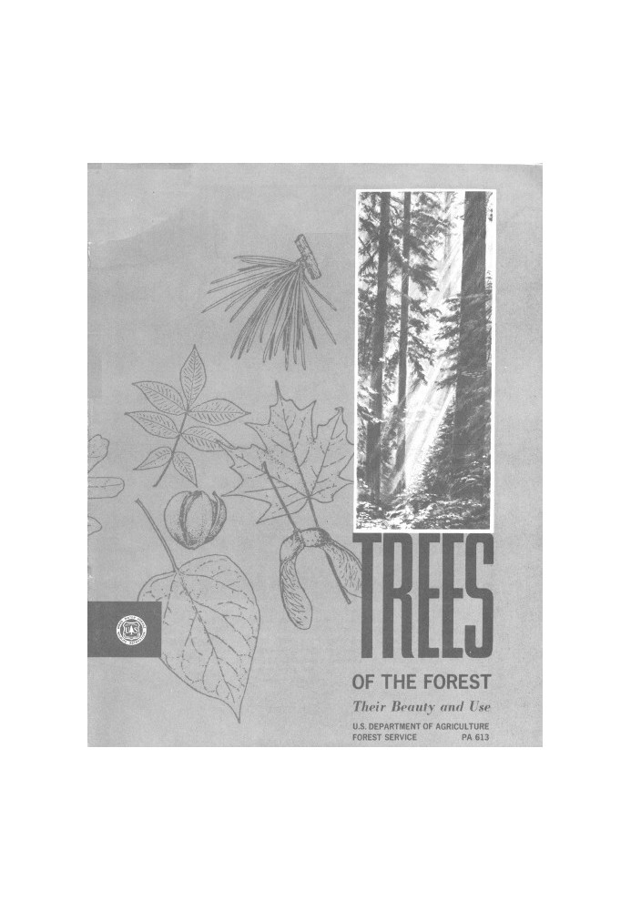 Book Trees of the Forest: Their Beauty and Use