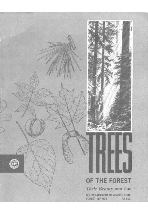 Book Trees of the Forest: Their Beauty and Use