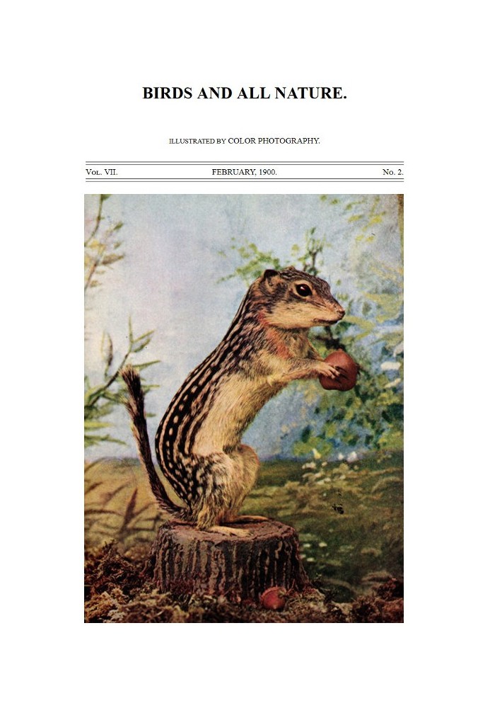 Book Birds and All Nature, Vol 7, No. 2, February 1900 Illustrated by Color Photography