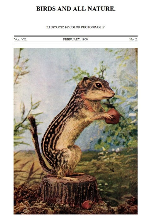 Book Birds and All Nature, Vol 7, No. 2, February 1900 Illustrated by Color Photography