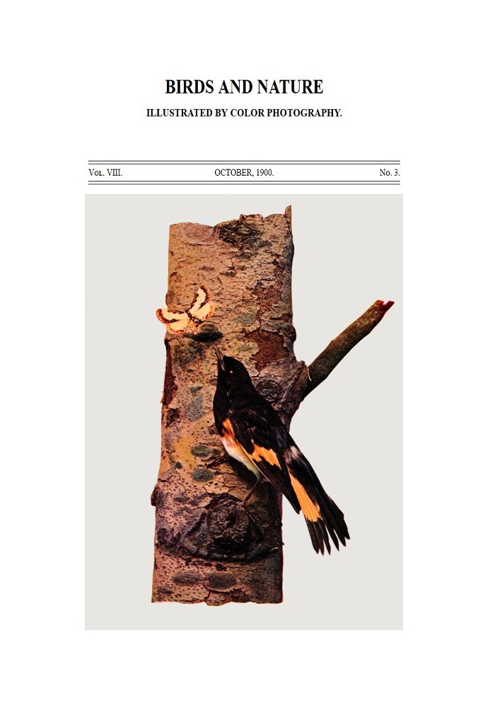 Book Birds and Nature Vol. 08, No. 3, October 1900 Illustrated by Color Photography