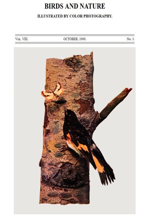 Book Birds and Nature Vol. 08, No. 3, October 1900 Illustrated by Color Photography
