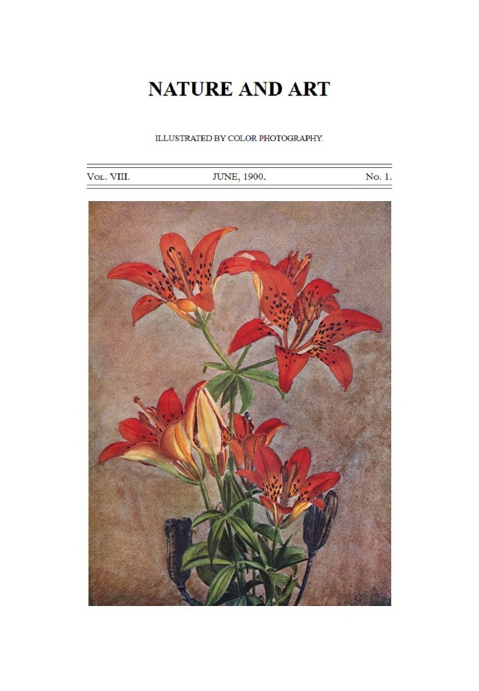 Book Birds and Nature, Vol. 08, No. 1, June 1900 In Natural Colors