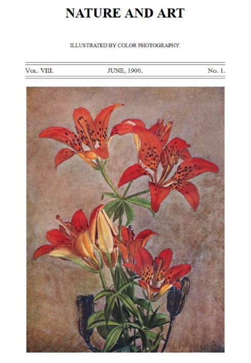 Book Birds and Nature, Vol. 08, No. 1, June 1900 In Natural Colors