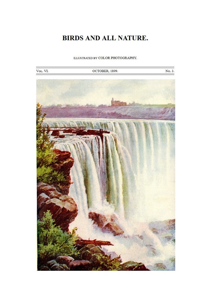 Книга Птицы и вся природа, Том. 6, № 3, октябрь 1899 г., иллюстрировано цветной фотографией.