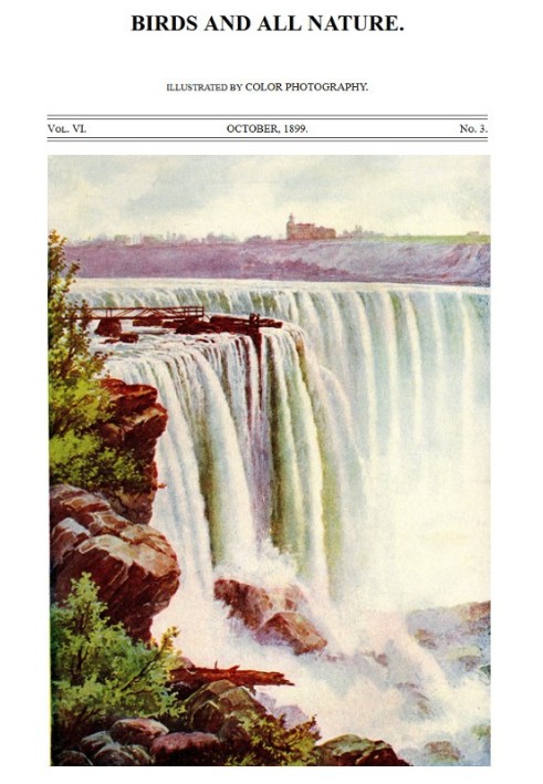 Книга Птицы и вся природа, Том. 6, № 3, октябрь 1899 г., иллюстрировано цветной фотографией.