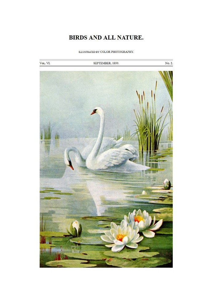 Book Birds and All Nature, Vol. 6, No. 2, September 1899 Illustrated by Color Photography
