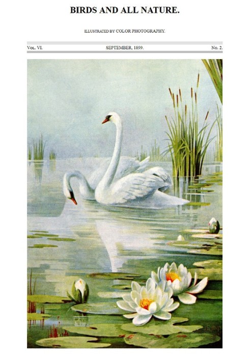 Book Birds and All Nature, Vol. 6, No. 2, September 1899 Illustrated by Color Photography