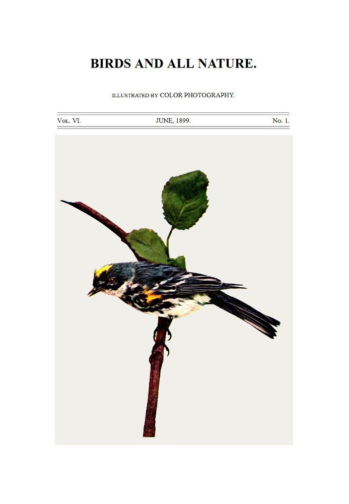 Book Birds and All Nature, Vol. 6, No. 1, June 1899 Illustrated by Color Photography