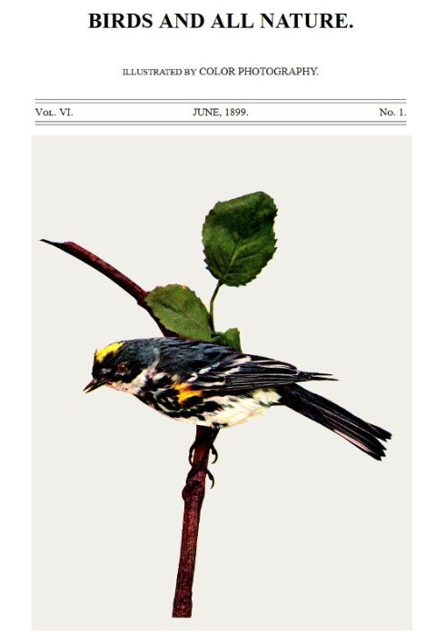 Book Birds and All Nature, Vol. 6, No. 1, June 1899 Illustrated by Color Photography