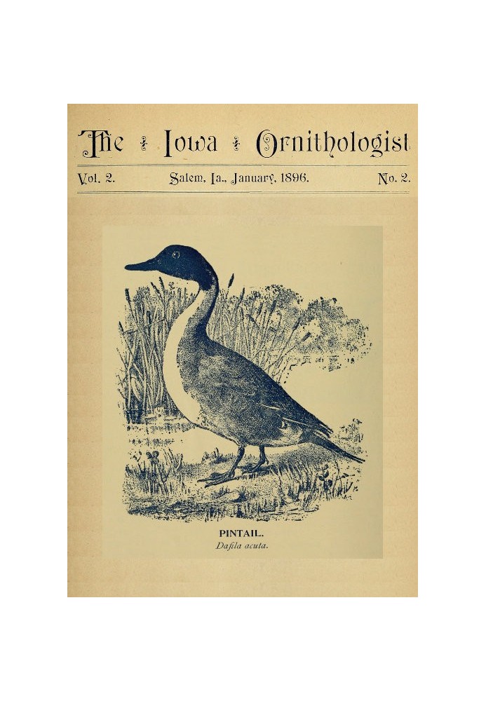 Book The Iowa Ornithologist, Volume 2, No. 2, January 1896 For the Student of Birds