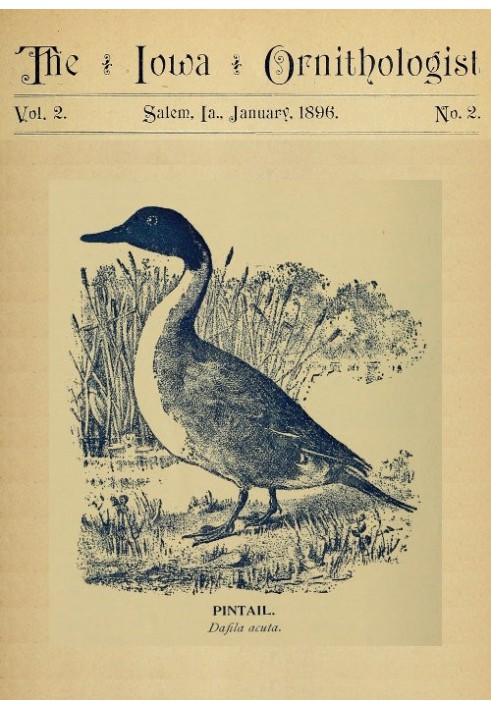 Book The Iowa Ornithologist, Volume 2, No. 2, January 1896 For the Student of Birds