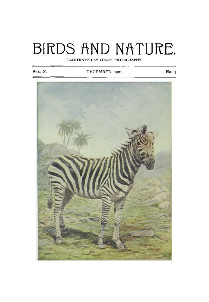 Book Birds and Nature Vol. 10 No. 5 [December 1901]
