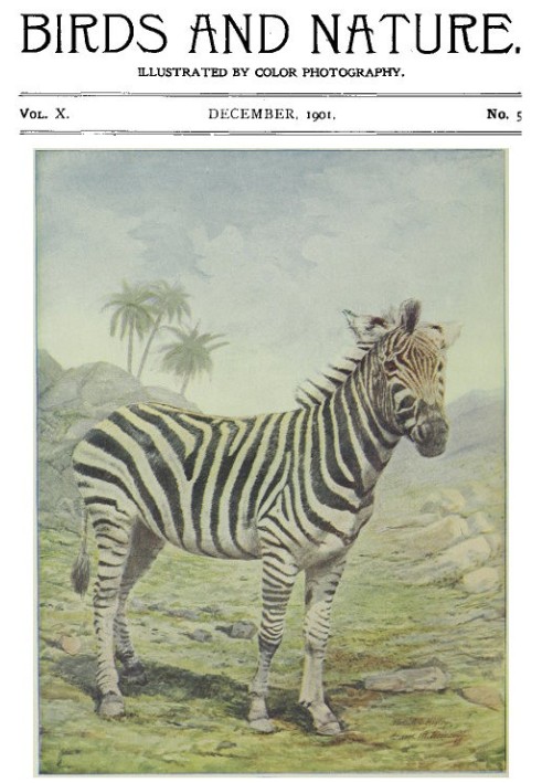 Book Birds and Nature Vol. 10 No. 5 [December 1901]