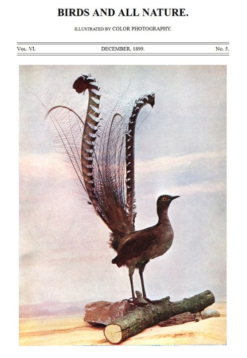 Book Birds and All Nature, Vol. 6, No. 5, December 1899 Illustrated by Color Photography