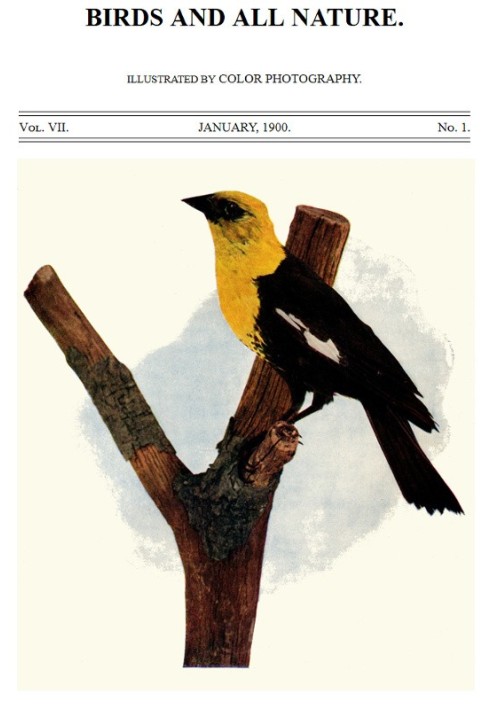 Book Birds and All Nature, Vol. 7, No. 1, January 1900 Illustrated by Color Photography