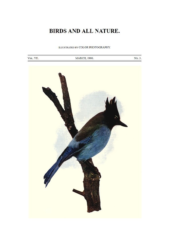 Book Birds and All Nature, Vol 7, No. 3, March 1900 Illustrated by Color Photography