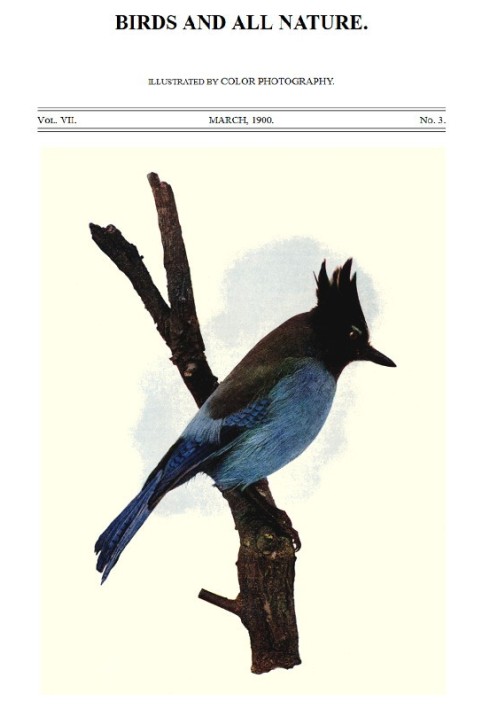 Book Birds and All Nature, Vol 7, No. 3, March 1900 Illustrated by Color Photography