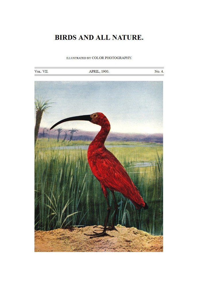 Book Birds and All Nature, Vol. 7, No. 4, April 1900