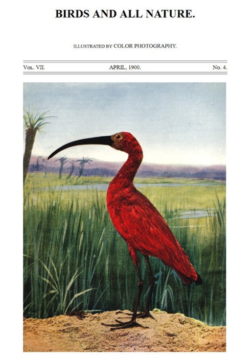 Book Birds and All Nature, Vol. 7, No. 4, April 1900