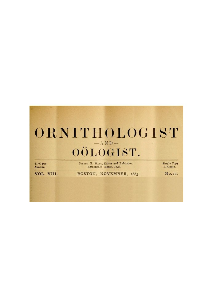 Book The Ornithologist and Oölogist. Vol. VIII, No. 11, November, 1883 Birds: Their Nests and Eggs