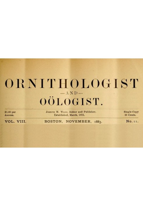 Book The Ornithologist and Oölogist. Vol. VIII, No. 11, November, 1883 Birds: Their Nests and Eggs