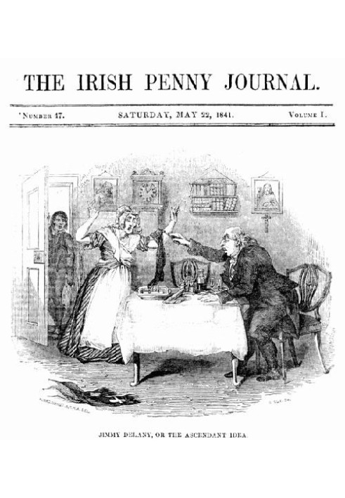 Книга The Irish Penny Journal, Vol. 1 № 47, 22 травня 1841 р