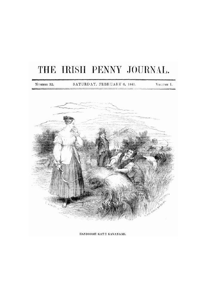 Book The Irish Penny Journal, Vol. 1 No. 32, February 6, 1841
