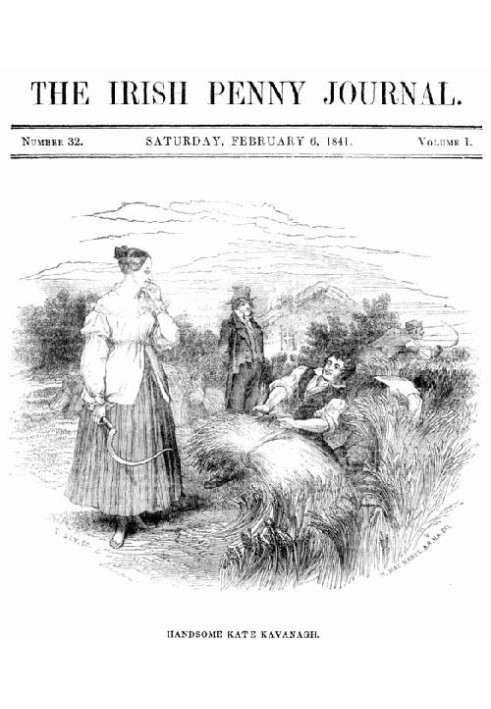 Book The Irish Penny Journal, Vol. 1 No. 32, February 6, 1841