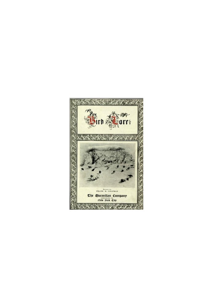 Book Bird-Lore, Volume I—1899