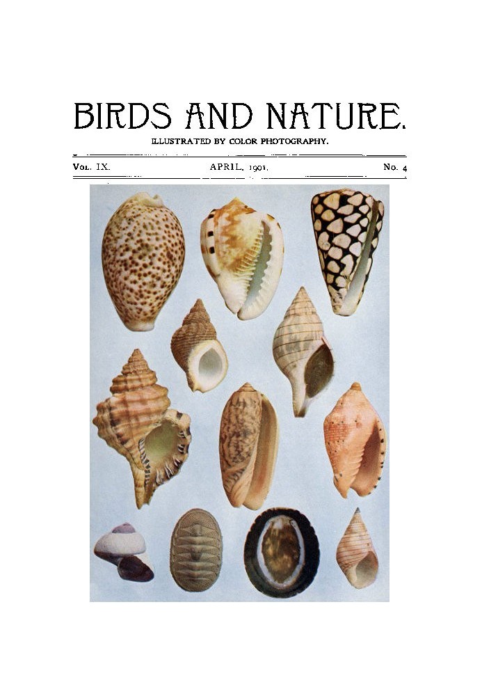 Book Birds and Nature Vol. 09 No. 4 [April 1901]