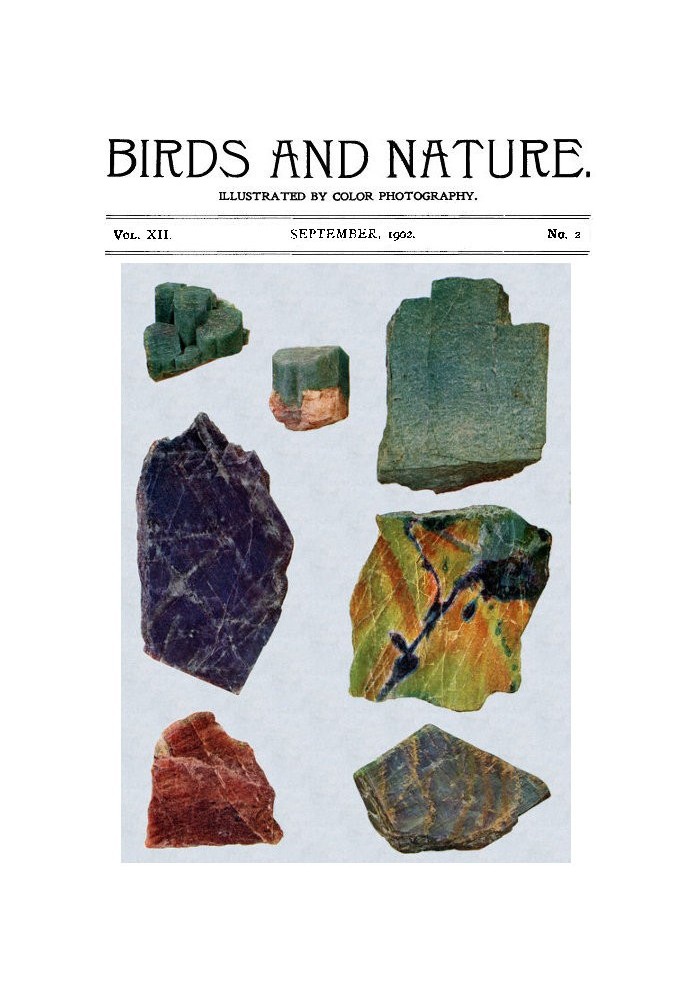 Book Birds and Nature, Vol. 12 No. 2 [July 1902] Illustrated by Color Photography