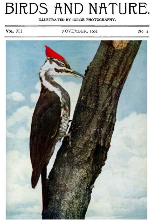 Book Birds and Nature, Vol. 12 No. 4 [September 1902] Illustrated by Color Photography