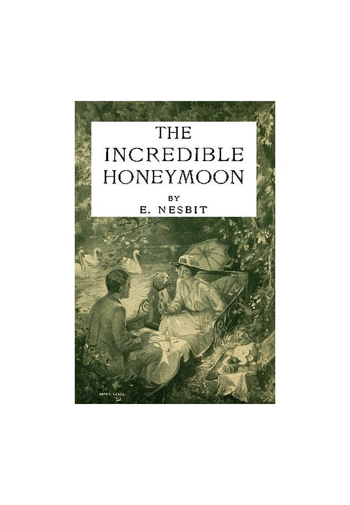 Книга Неймовірний медовий місяць