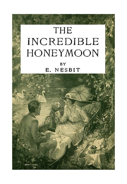 Книга Неймовірний медовий місяць