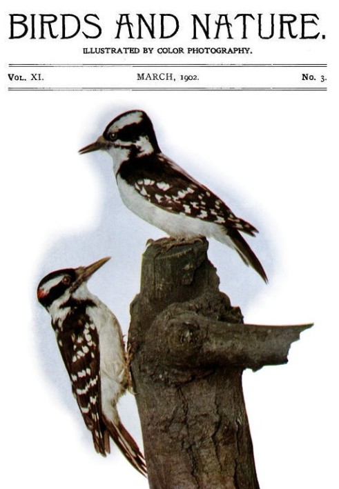 Book Birds and Nature Vol. 11 No. 3 [March 1902] Illustrated by Color Photography