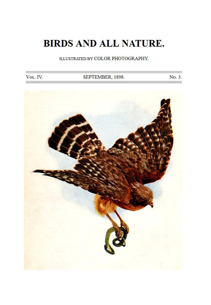 Book Birds and All Nature, Vol. 4, No. 3, September 1898 Illustrated by Color Photography