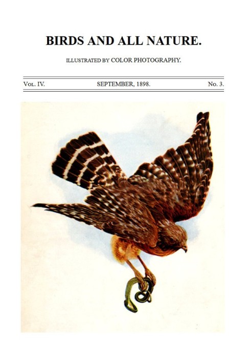 Book Birds and All Nature, Vol. 4, No. 3, September 1898 Illustrated by Color Photography