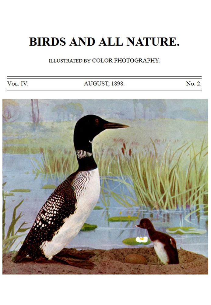 Book Birds and All Nature, Vol. 4, No. 2, August 1898 Illustrated by Color Photography