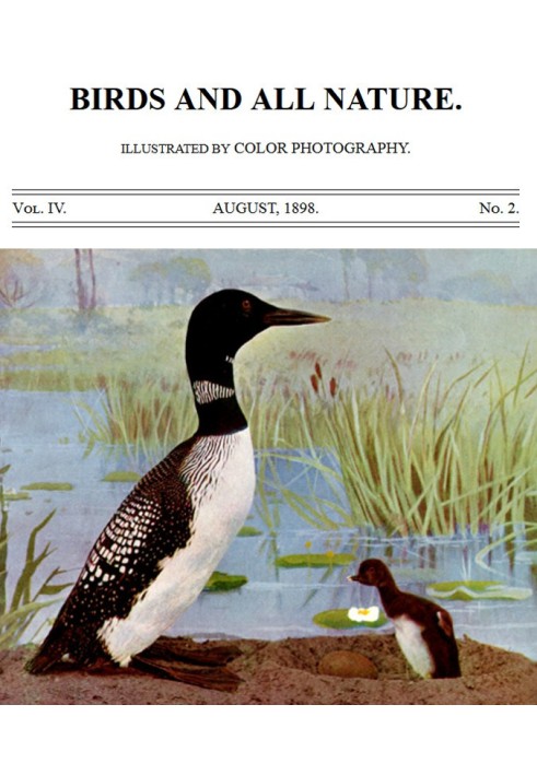 Book Birds and All Nature, Vol. 4, No. 2, August 1898 Illustrated by Color Photography