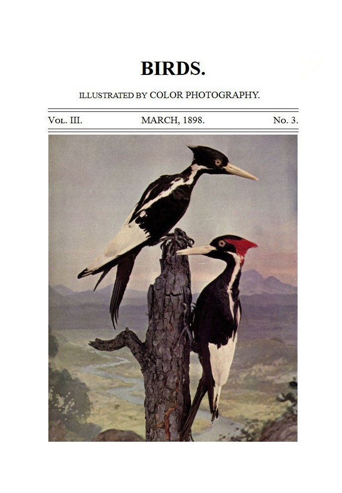 Book Birds and All Nature, Vol. 3, No. 3, March 1898 Illustrated by Color Photography