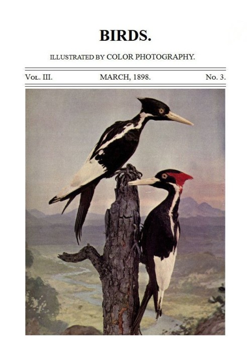 Book Birds and All Nature, Vol. 3, No. 3, March 1898 Illustrated by Color Photography