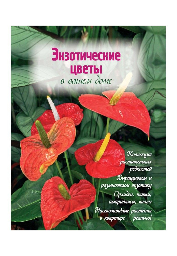 Книга Екзотичні квіти у вашому будинку
