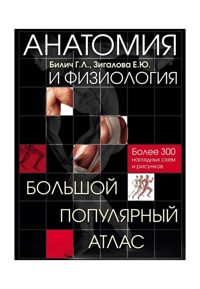 Book Anatomy and physiology. Large popular atlas