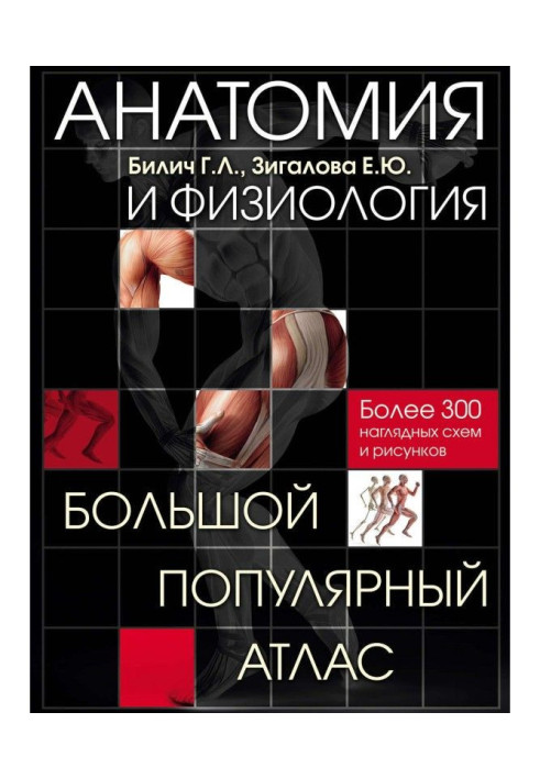 Book Anatomy and physiology. Large popular atlas
