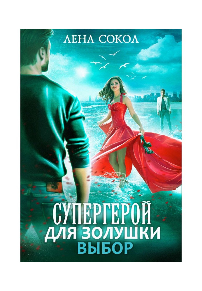 Book Superhero for Cinderella - 2: Choice