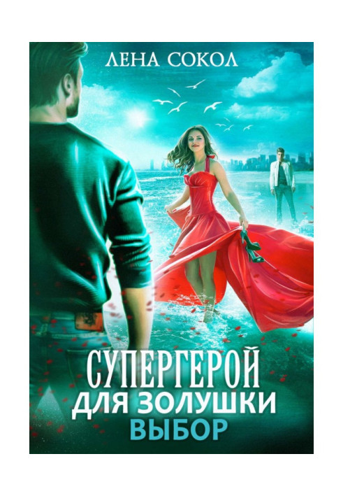 Book Superhero for Cinderella - 2: Choice